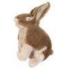 Hyper Pet Wildlife Rabbit Dog Toy With Squeaker